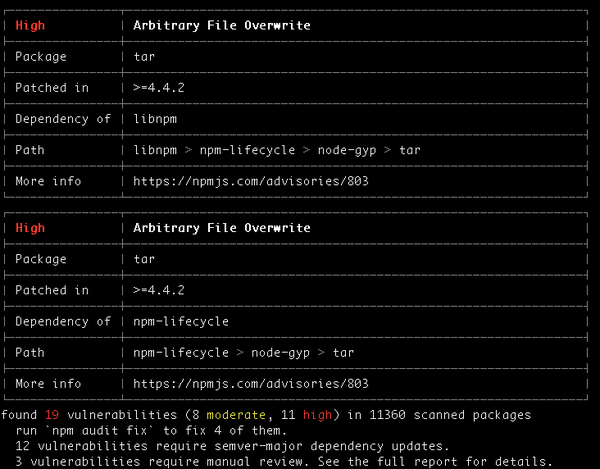 NPM audit